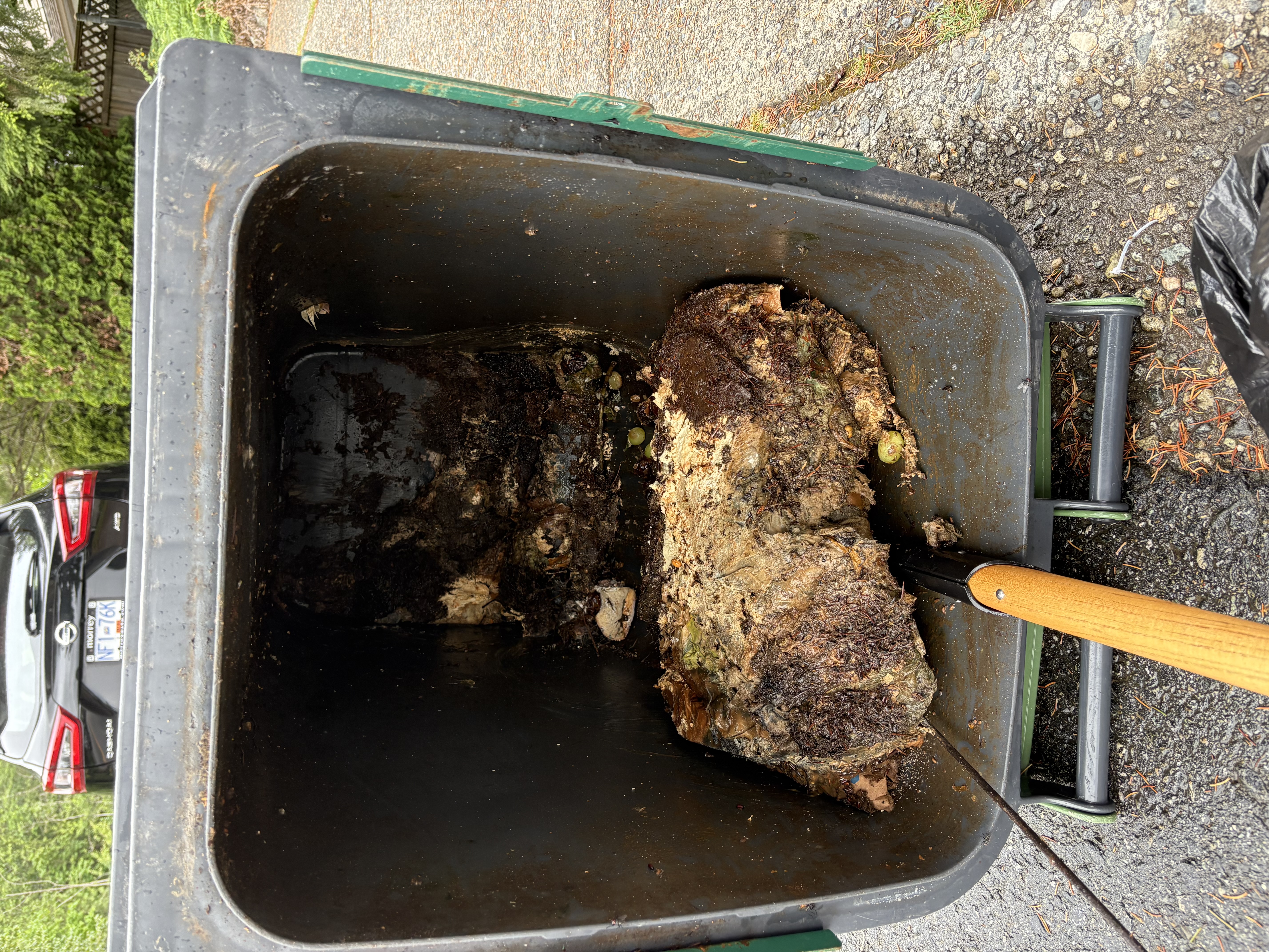 Heavily soiled bin with build-up before professional cleaning