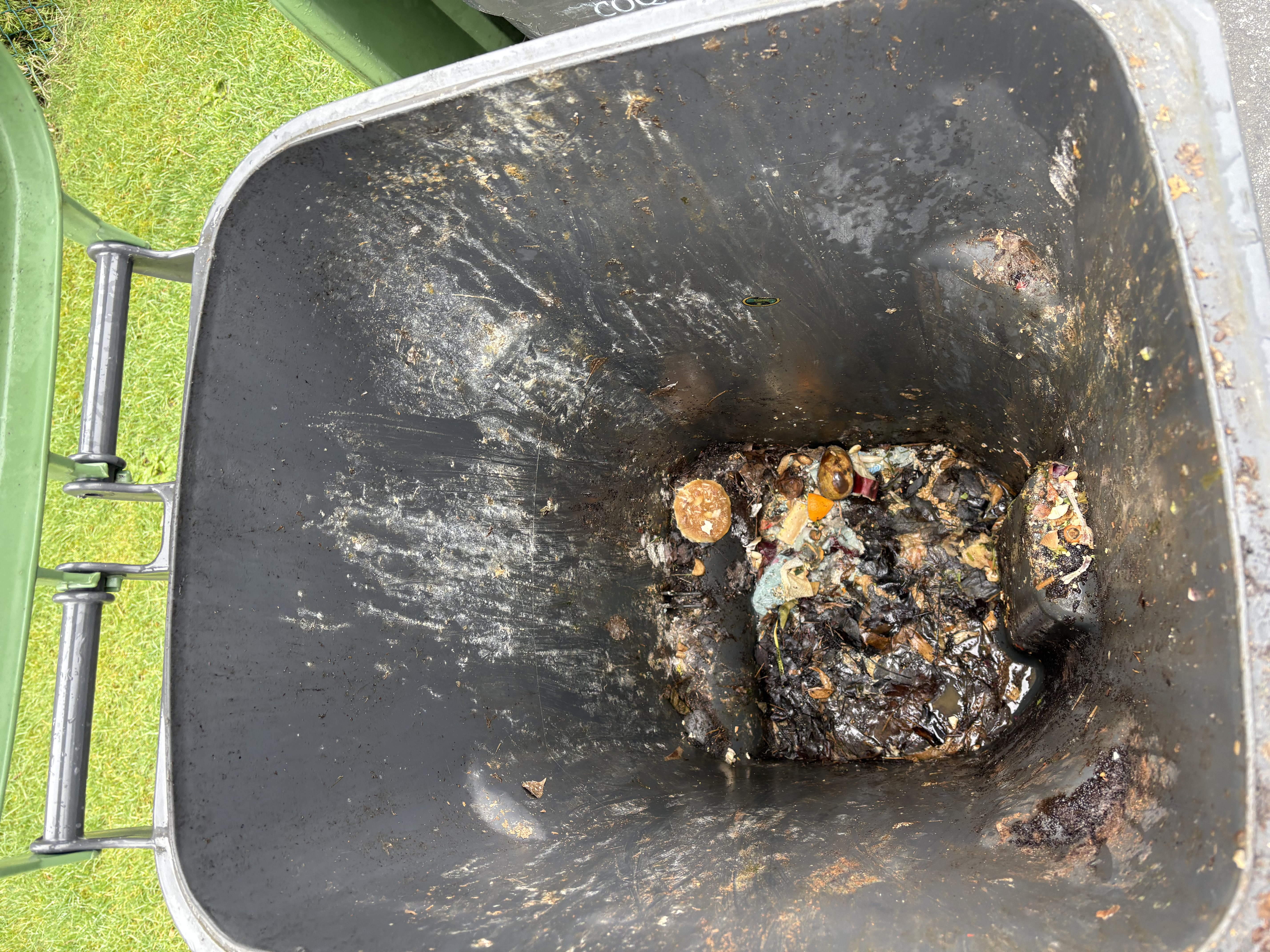 Dirty bin interior with rotting food waste before cleaning