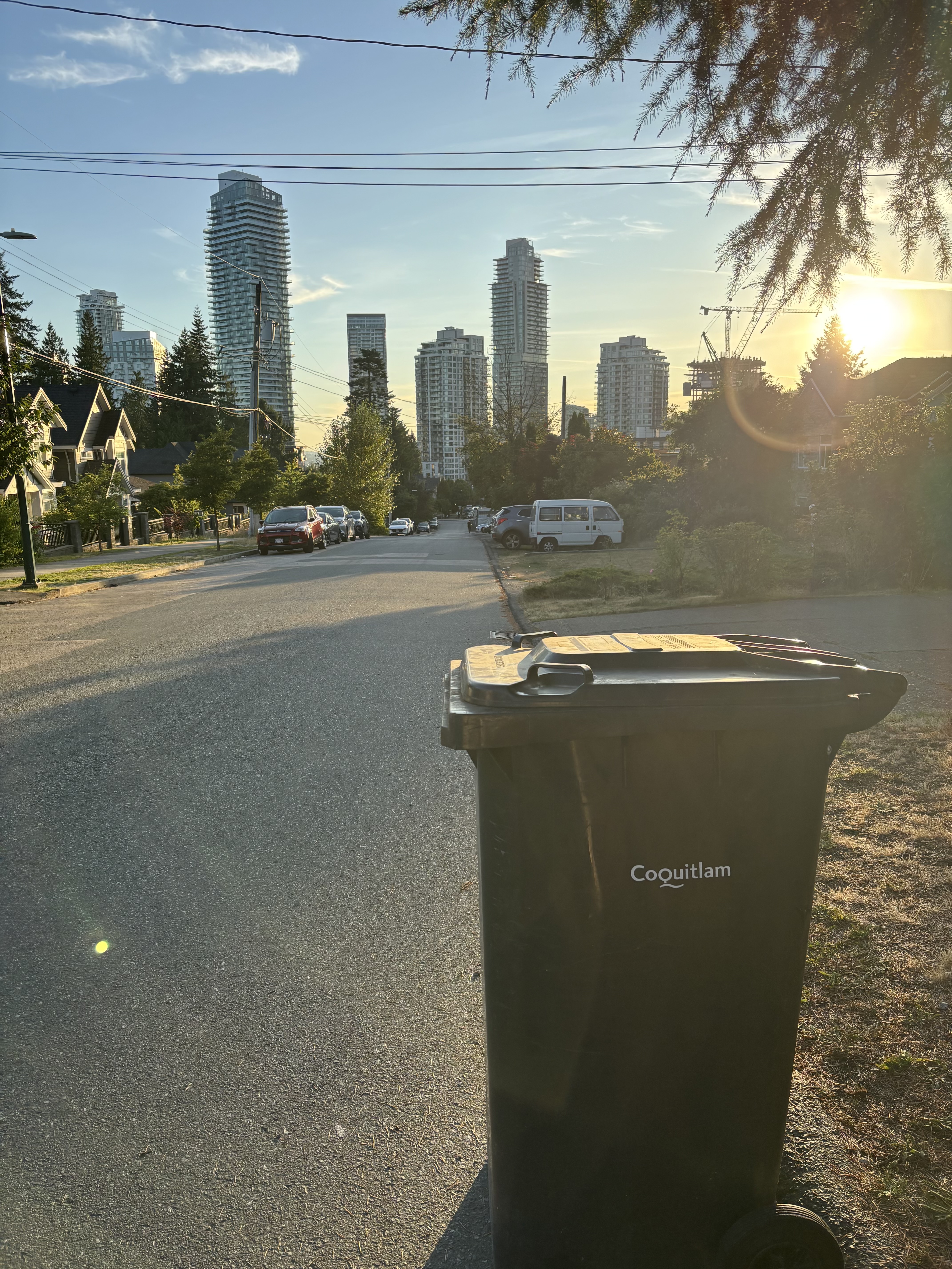 Coquitlam residential street at sunrise with bin in foreground